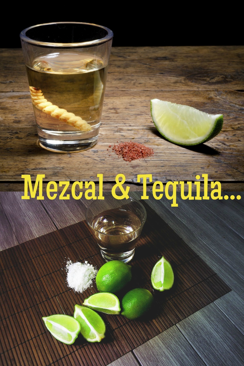 La mayoría de las personas cuando se acercan a mí a pedirme un trago, en este caso tequila, lo piden que contenga el gusano, o me piden la famosa bebida mexicana que tiene el gusano.